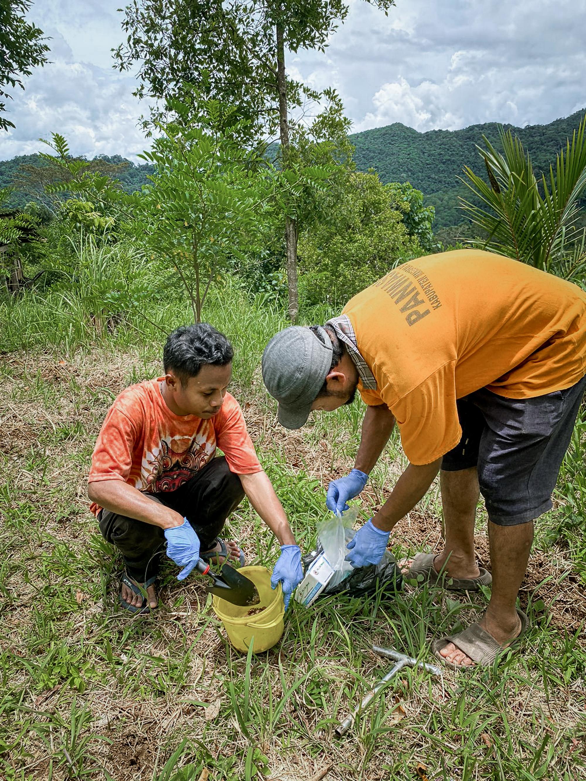 Soil sampling as the first step of the program