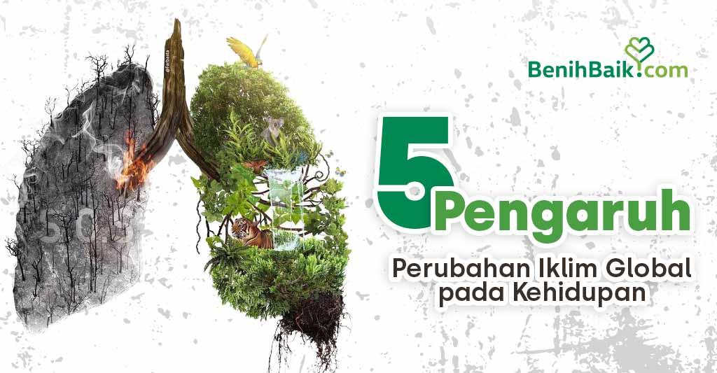 5 Pengaruh Signifikan Perubahan Iklim Global pada Kehidupan