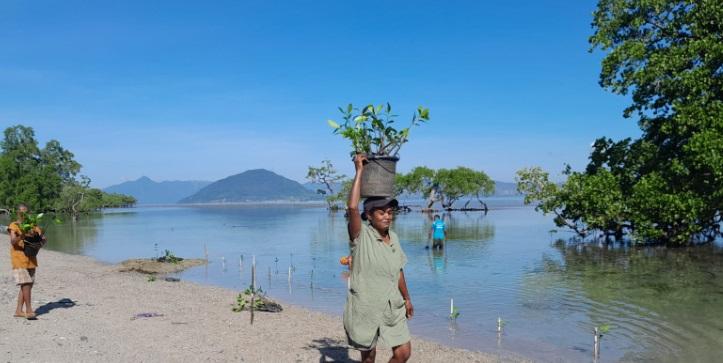 Program penanaman 110.000 pohon di wilayah Indonesia Timur